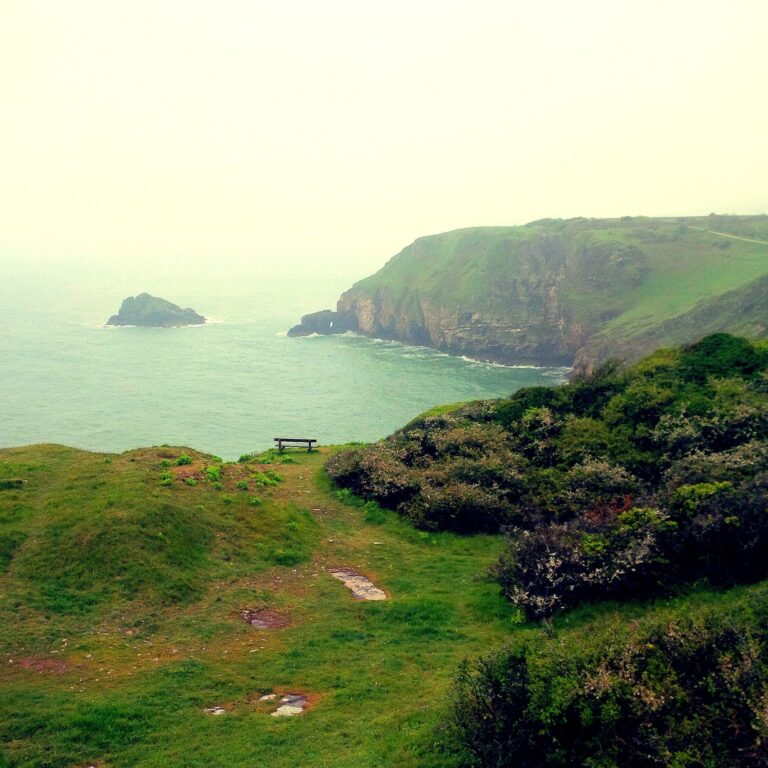 The Coastline of Devonshire