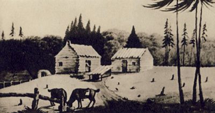 Pioneer homestead