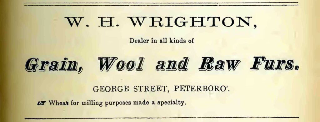 Wrighton Ad -George St