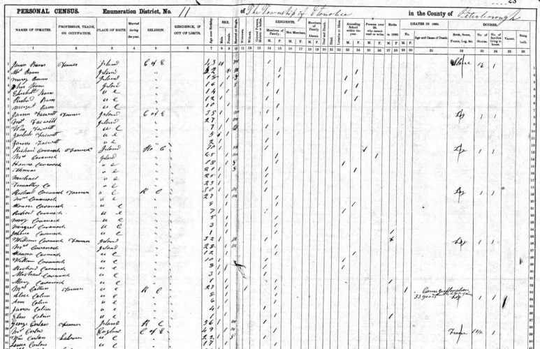 1861 Census Page-wp