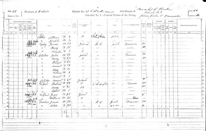 1871 Census Page-wp